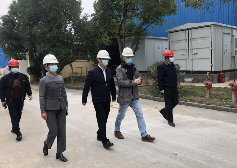 泉州市林业局局长郑进锡一行莅临5001拉斯维加斯林业人造板厂参观考察