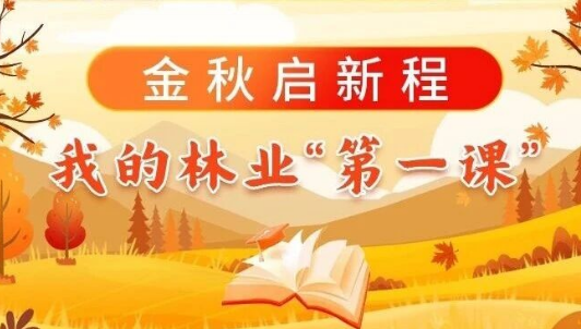金秋启新程，我的林业“第一课”（二）